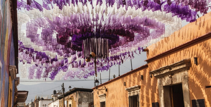 a bunch of purple flowers hanging from the ceiling