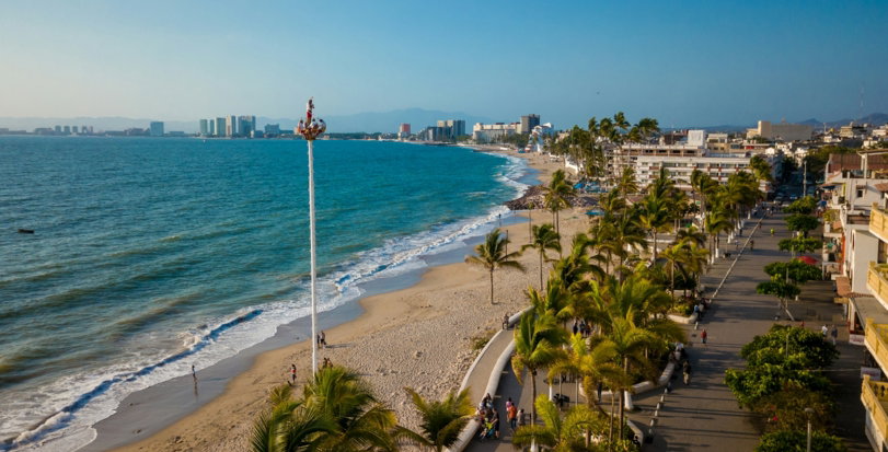 a beach with palm trees and a body of water