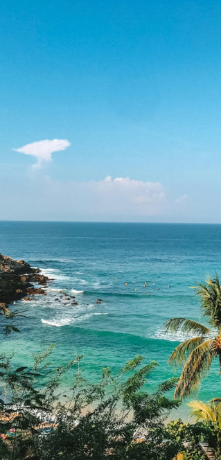 green palm tree near sea under blue sky during daytime
